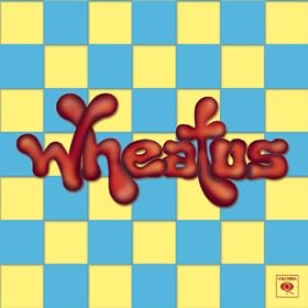 Teenage Dirtbag (Explicit)