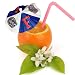 Florida Gators NCAA 3 Paper Drink Umbrellas (Set of 24)