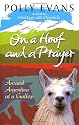 On A Hoof And A Prayer: Around Argentina At A Gallop