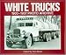 White Trucks 1900-1937 Photo Archive: Photographs from the National Automotive History Collection of the Detroit Public (Photo Archive)