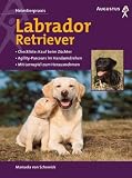 Produkt-Bild: Labrador Retriever