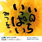 心で聴く相田みつをの...