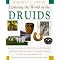 learn more about Druidry throughout the ages