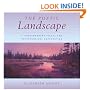 The Poetic Landscape:  A Contemporary Visual and Psychological Exploration