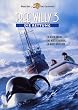 Free Willy 3 - Die Rettung