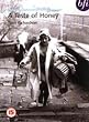 A Taste Of Honey [DVD] [1961]