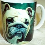 Bulldog Coffee Mug