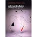 Molecular Evolution: A Phylogenetic Approach
