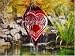 Outdoor Living : Rose Heart--Med-14"