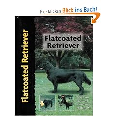 Flatcoated Retriever