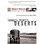 Through Painted Deserts: Light, God, and Beauty on the Open Road