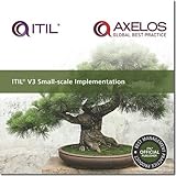 ITIL V3 small-scale implementation