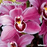 2012 Orchids Wall Calendar (English, German, French, Italian, Spanish and Dutch Edition)