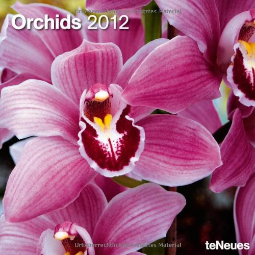 2012 Orchids Wall Calendar Dutch Edition)