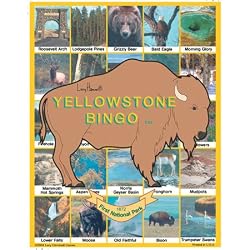 Bingo Yellowstone