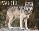 Wolf 2010 Calendar