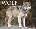 Wolf 2010 Calendar