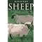 Sheep connections