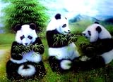 3 Panda Bears 3D Picture, A 3D Lenticular Pandas Wall Art Ready To Frame, 34.5 x 24.5 cm