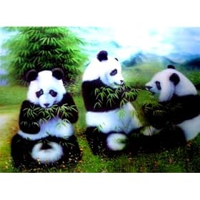 3 Panda Bears 3D Picture, A 3D Lenticular Pandas Wall Art Ready To Frame, 34.5 x 24.5 cm
