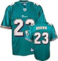 Ronnie Brown Youth Jersey: Reebok Aqua Replica #23 Miami Dolphins Jersey