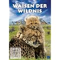 Waisen der Wildnis