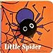 Little Spider (Finger Puppet Book)
