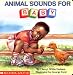 Animal Sounds For Baby (revised) (What-a-Baby Series)