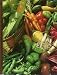 Book Vegatables and Fruits (The Time-Life Encyclopedia of Gardening)