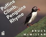 Puffins Climb, Penguins Rhyme