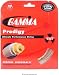 Gamma TNT Prodigy 17g