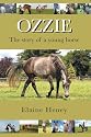 Ozzie - The Story of a Young Horse