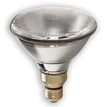 GE 16358 90-Watt PAR38 Edison Halogen Floodlight
