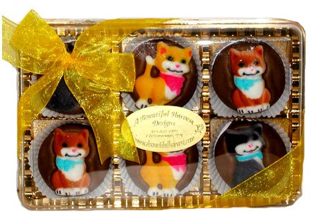 Sassy Cats Themed Belgian Chocolate Covered Oreo