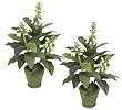 TWO Pre-Potted 26" Artificial Foxglove Flower Plants for Home Decoration_White