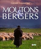 Moutons et bergers