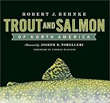 Trout and Salmon of North America