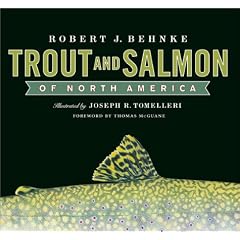 Trout and Salmon of North America
