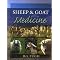 Raising sheeps