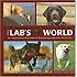 It's A Lab's World: An Illustrated Collection of Everything Labrador Retriever
