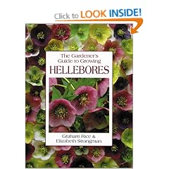 The Gardener's Guide to Growing Hellebores