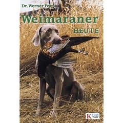 Weimaraner heute