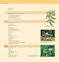 Rezepte für die Gesundheit: Wildkräutersalate, Suppen, Speisen, Tees und Tinkturen