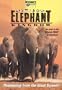 Africa's Elephant Kingdom (Large Format)