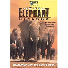 Africa's Elephant Kingdom (Large Format)