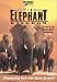 Africa's Elephant Kingdom (Large Format)