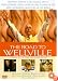 The Road To Wellville [1995]