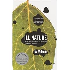 Ill Nature