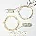 RTGS 2 Sets 15 Warm White Color Micro LED String Lights Battery Operated on 6 Feet Silver Wire (3)