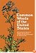 Common Weeds of the United States